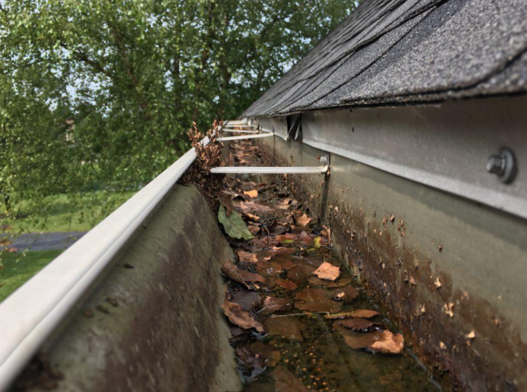 Gutter Cleaning before